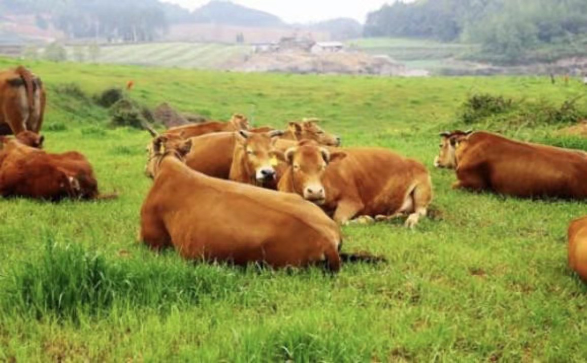 วัตถุเจือปนอาหารจากธรรมชาติคืออะไร?