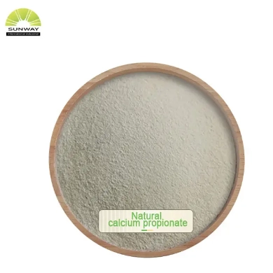 ทำความเข้าใจกับแคลเซียมโพรพิโอเนต: การใช้ประโยชน์และคุณประโยชน์ในการเก็บรักษาขนมปัง